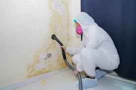 Best Mold Remediation for Healthcare Facilities  in Calumet City, IL